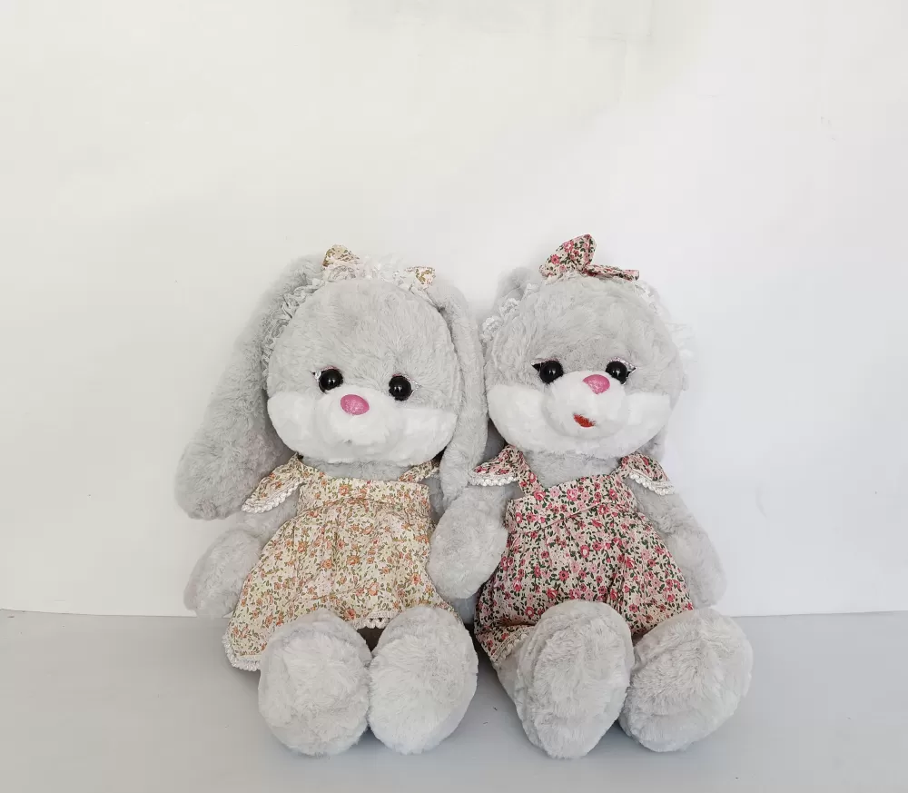 خرگوش ساحلی لباسدار